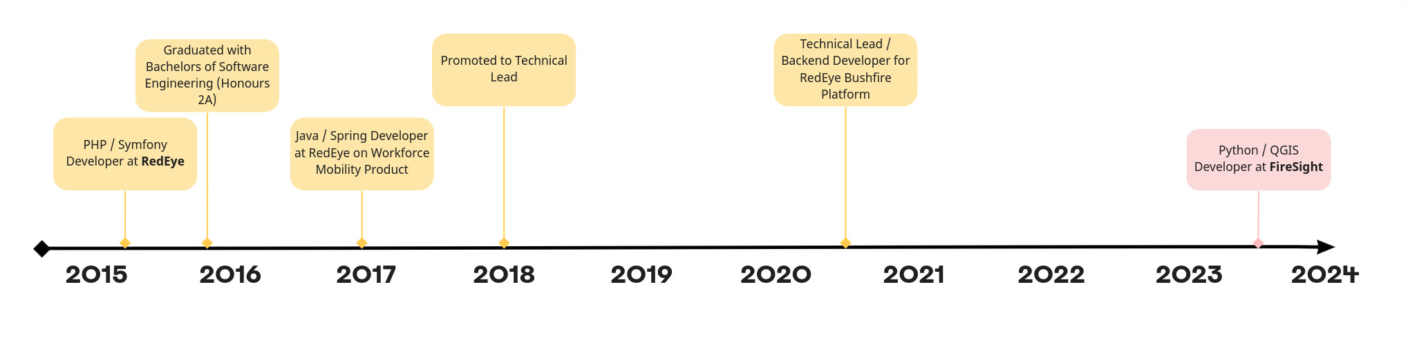 Career Timeline